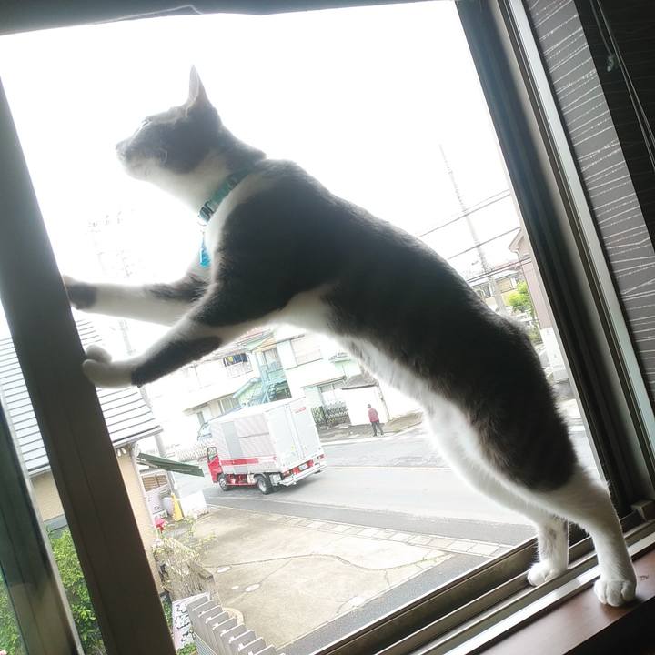 Abffbaec 0ee6 4963 99f5 d9554d9642e5 1591052779047