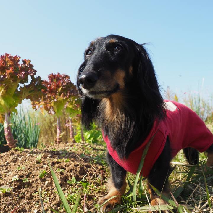 Abffd771 41ab 48bf 807e 90c7490156ed 1604129184128