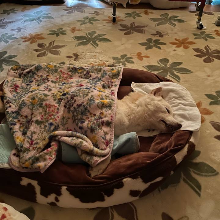 Ac00054a 646f 49a9 8fbc a89e236f79e9 1675894438010