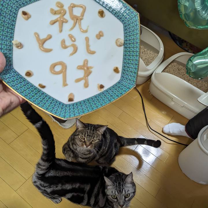 Ac00314b 10cf 4fee a5e3 75f6a3bbe41f 1709116495036