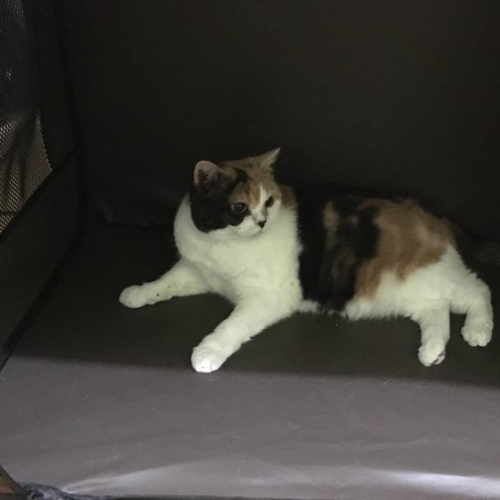 Ac005e06 a722 492a a5f0 3cf43c485810 1528122880686