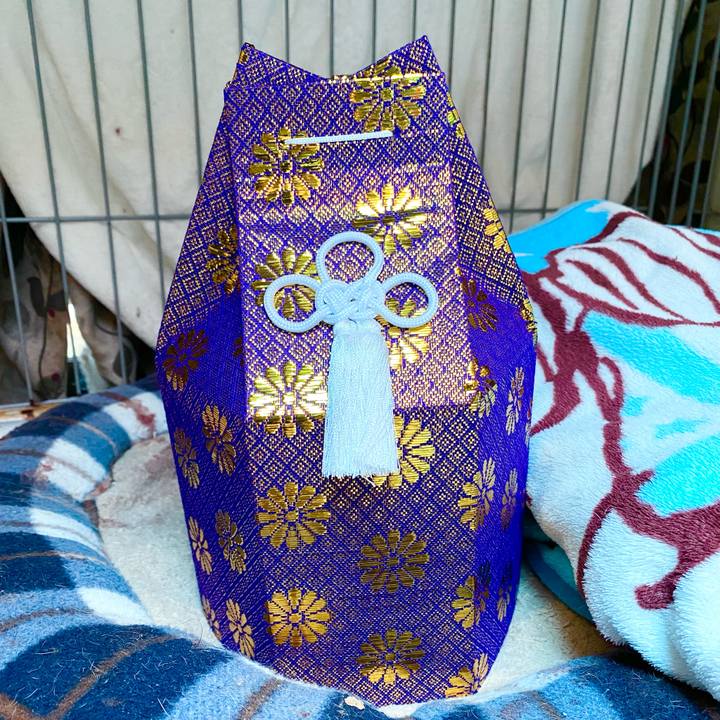 Ac00793a 147a 44ed 8615 ec3ef073712f 1671510196537