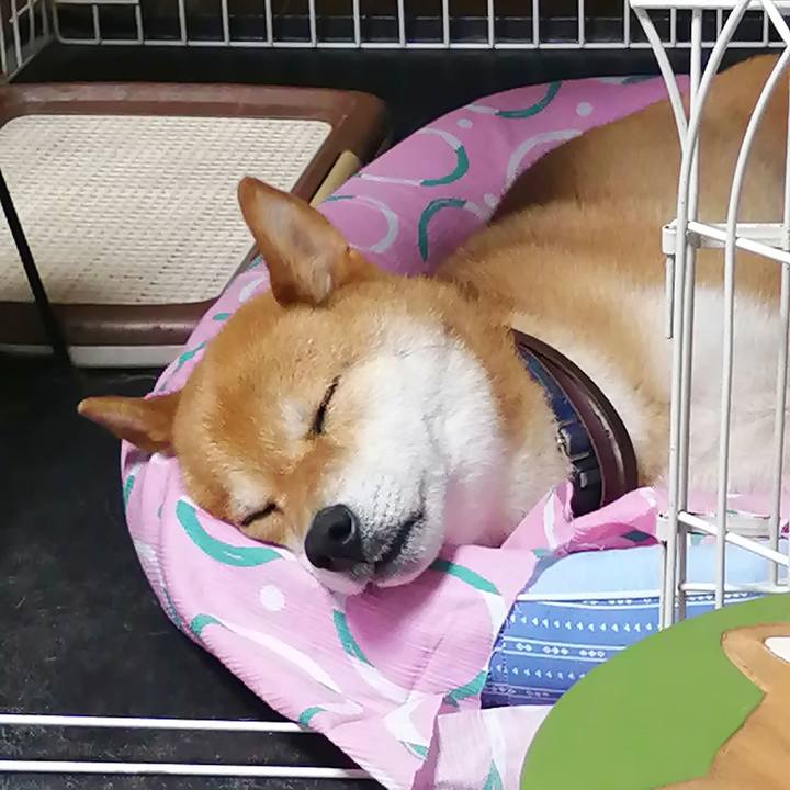 Ac007af1 7287 424f a900 9a06ba331262 1592315288478