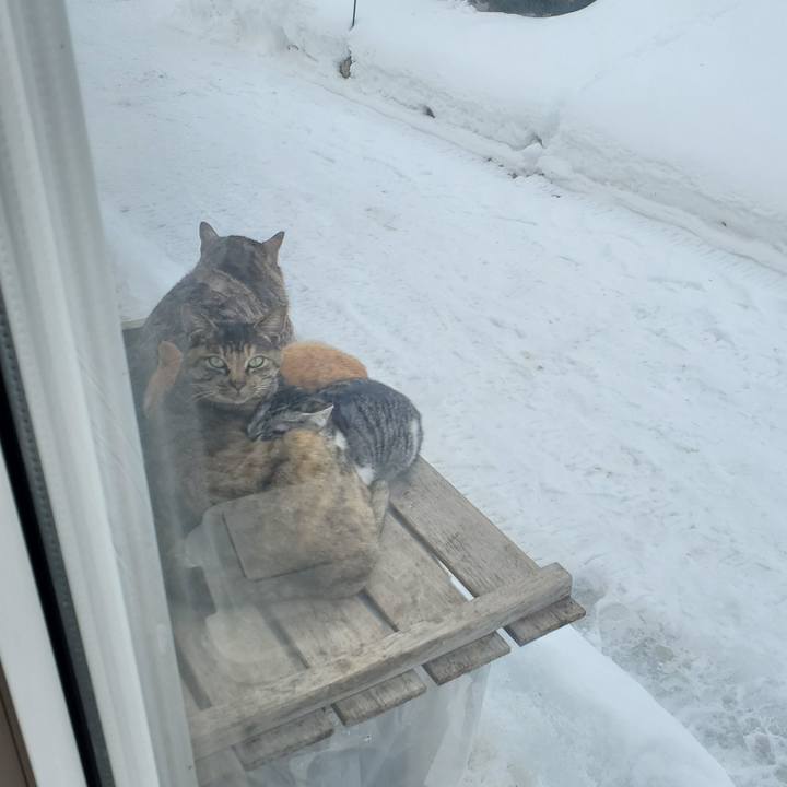 Ac00a510 02bb 4830 a098 7a42068dd385 1705144536302