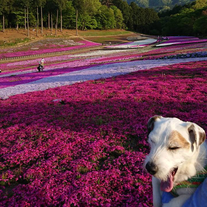 Ac00c351 afb0 4814 8e9c 5eb1c0c7a5e0 1524232869784