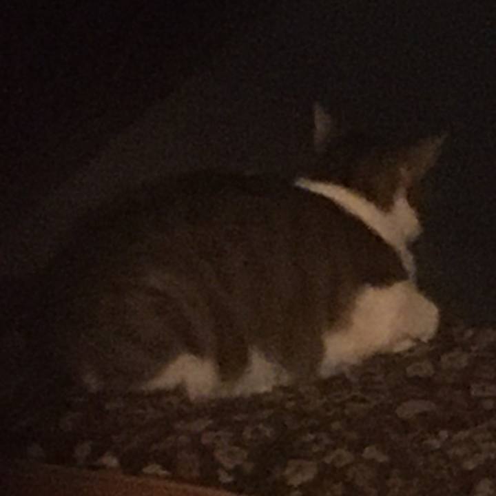 Ac00d5e2 2973 4342 aebc 897b34ff2699 1617241943635