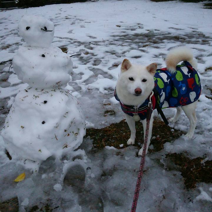 Ac00daeb e84d 409b 9b52 808487f34e16 1544257291052