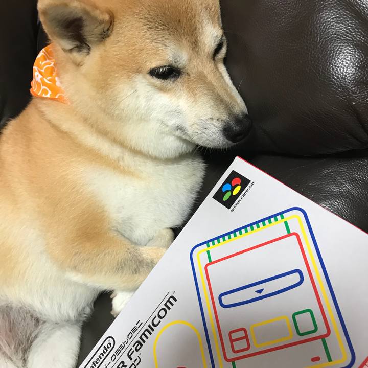 Ac00e412 9f39 4219 b0ee 141dbe8a817c 1509799983083