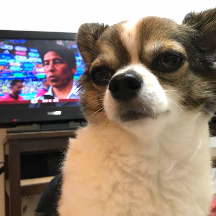 Ac00e601 49f0 41a9 8d1f 16506d478ba7 1529416659390