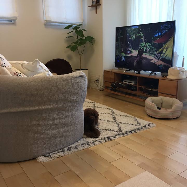 Ac0119a0 eb3d 439e 93a0 4320c5fd7b98 1518994005374