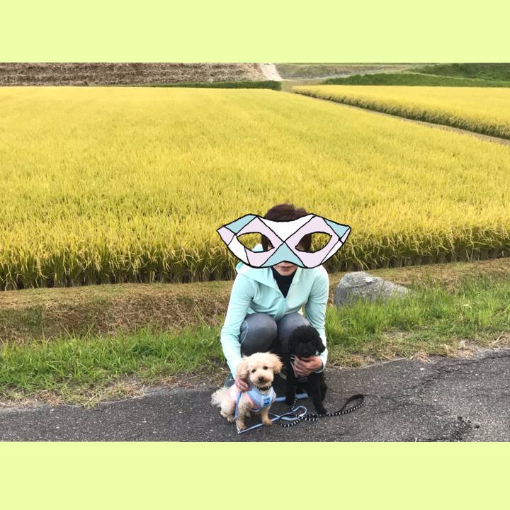 Ac011e83 5a20 4a91 b194 6d23eab9cde4 1540000824582