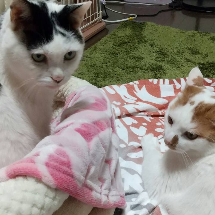 Ac012b9d 12d0 43e3 8a1e 6f829c685b74 1668932533592