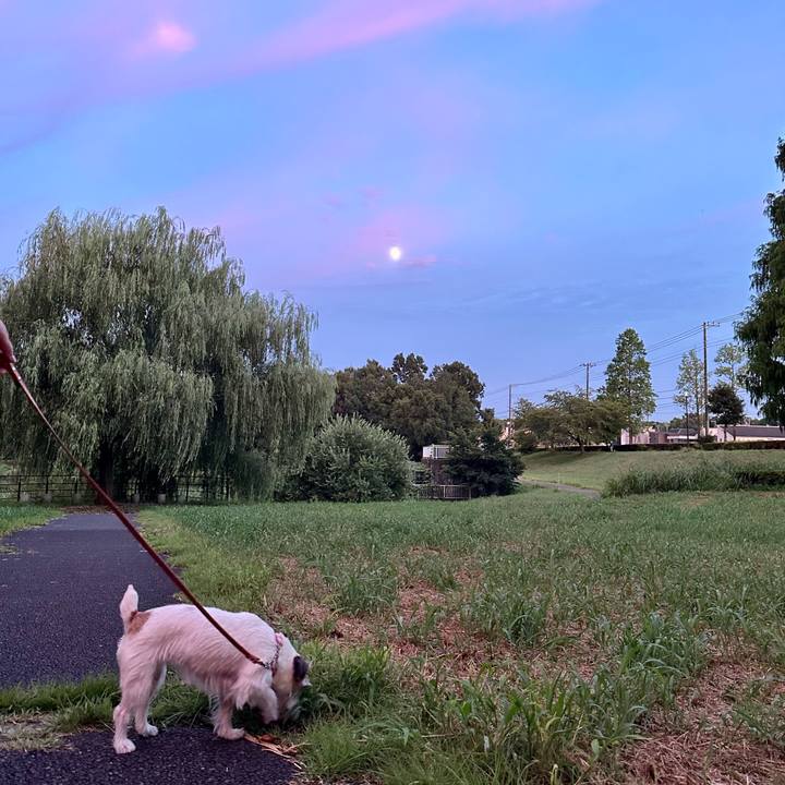 Ac01326a deb0 4027 aea9 249ffd8f6a22 1693216587518