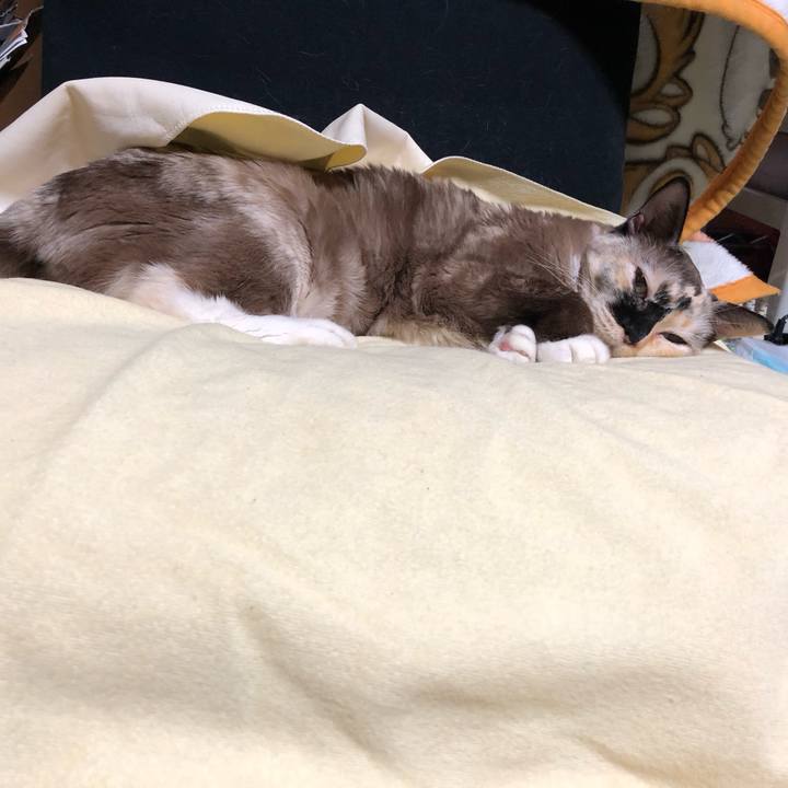 Ac0135e2 42b2 4ee4 aac7 781cac19cd08 1769259811249