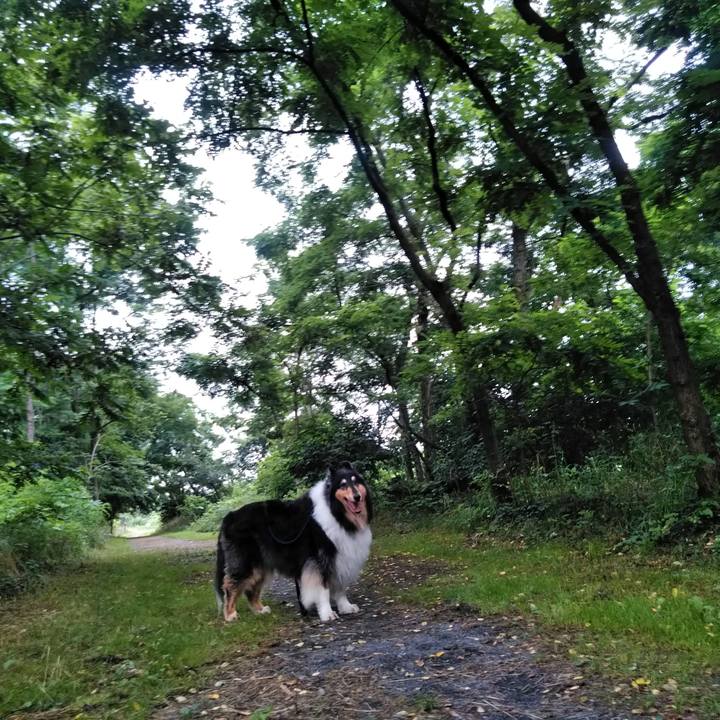 Ac015c1d ff31 4644 89de db5b63a6918c 1562070344812