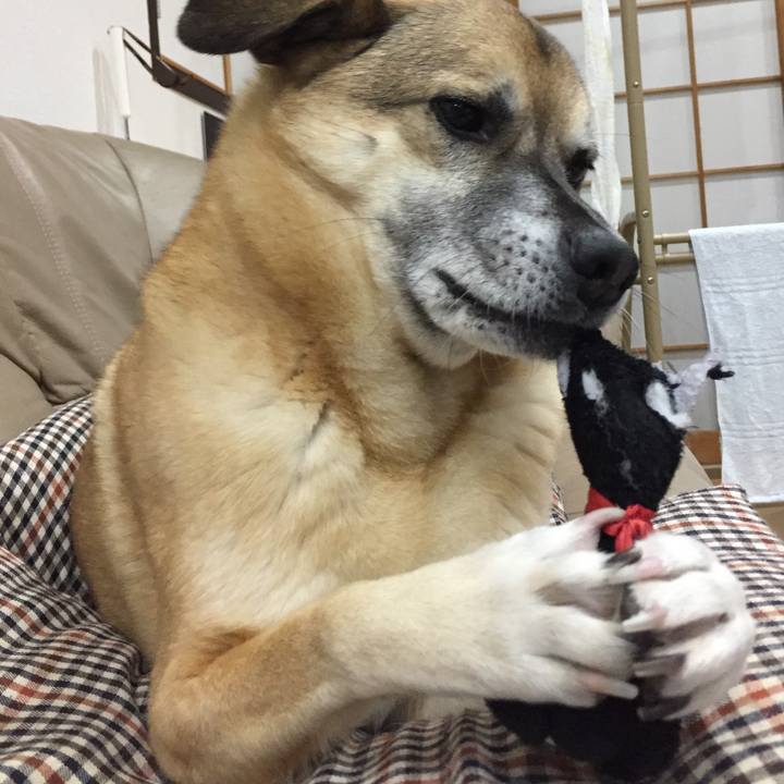 Ac017438 2588 4f68 8e91 217227024326 1516876276255