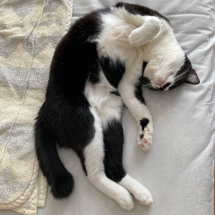 Ac018011 51d5 480d a3f9 6c6e56458b44 1725512301602