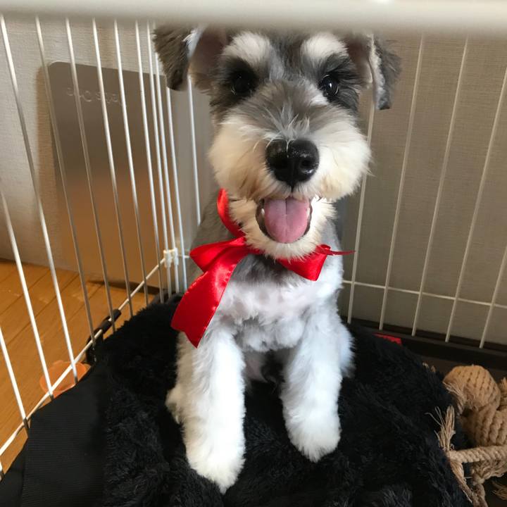 Ac01b608 6cd6 4135 a69d b03389f0ab8e 1567477692194