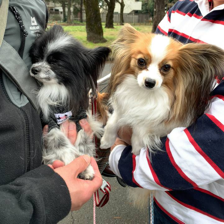 Ac01ba9a f0ba 4829 9c53 0af3e8199d81 1582506159067