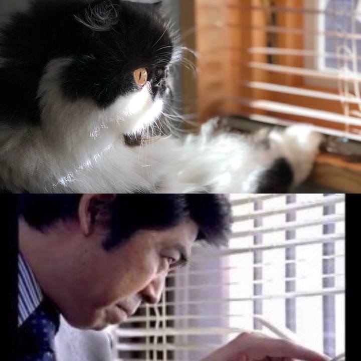 Ac02334e 1fd8 44ce 9ea4 38f0c2d1032c 1559215917571