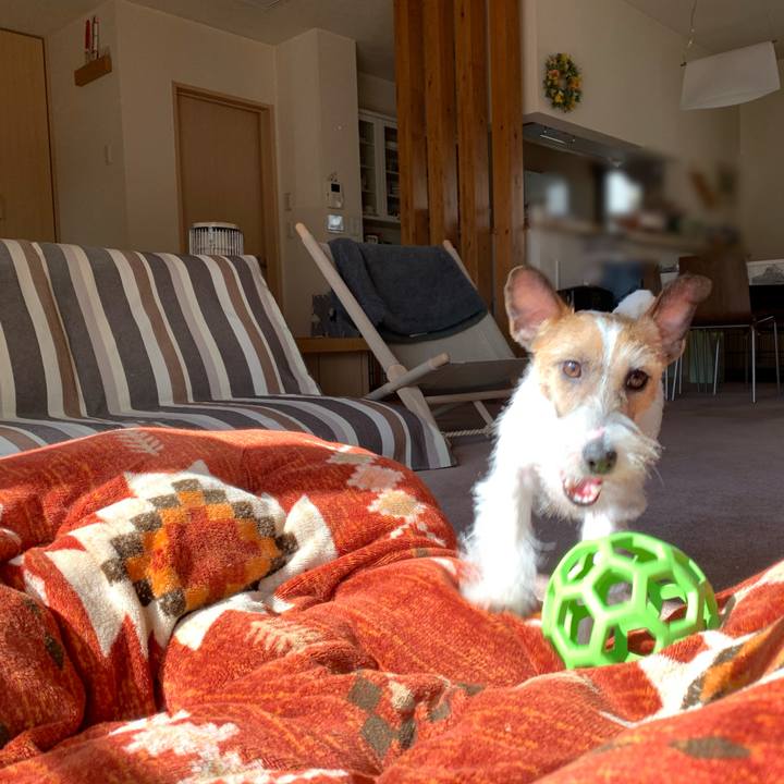 Ac026136 08f7 401f 802d 66936e7340cf 1582779977295