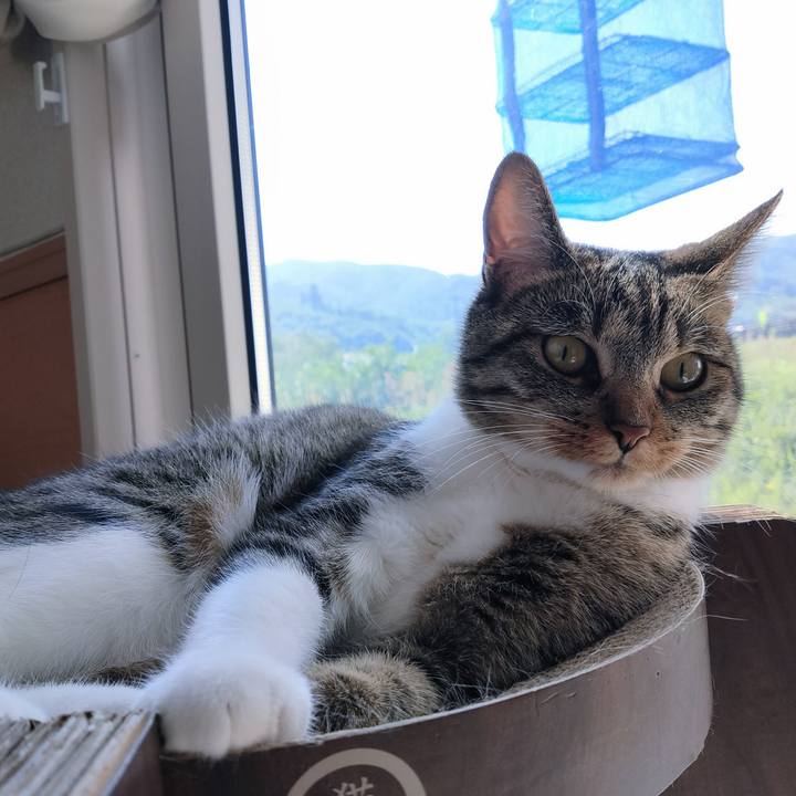 Ac029234 2c8f 4447 a580 dc9cb4c2b0e7 1684368622707