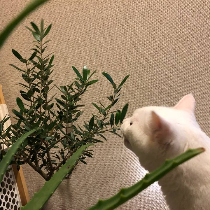 Ac0295f7 ee0a 466c baa6 5900facf7dec 1565789724654