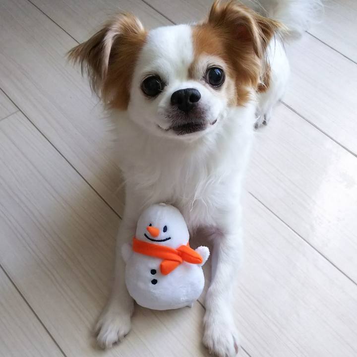 Ac029f99 4ab9 4f97 8d86 ffa6d1067d05 1532402547785