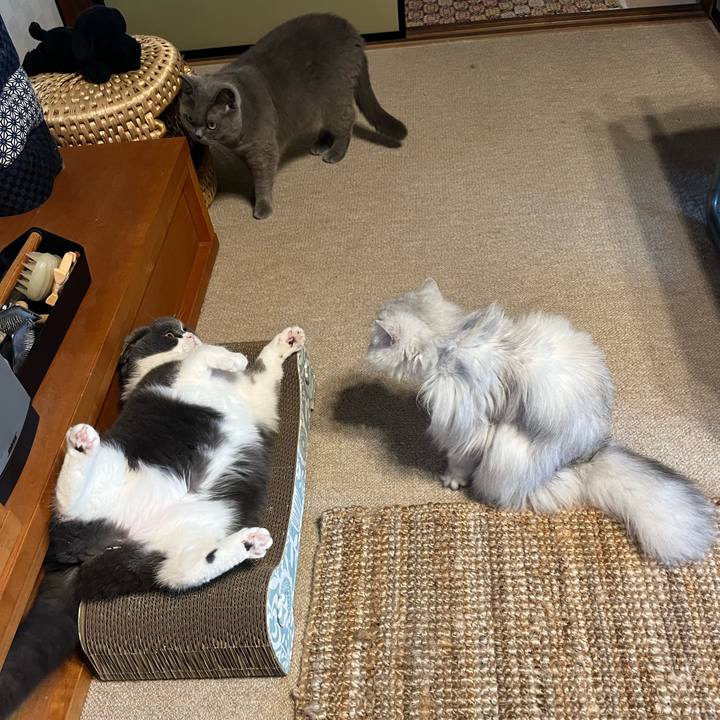 Ac02a019 1b7a 42eb a693 c6da99c92ef6 1653953971244