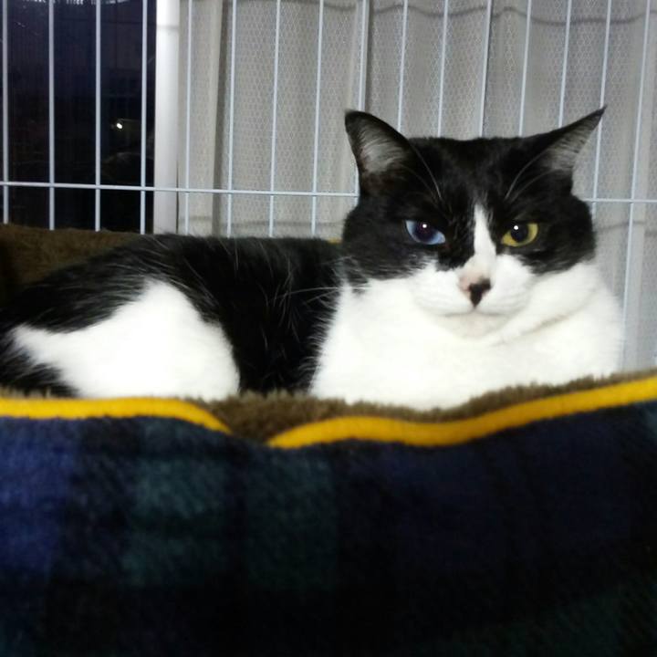 Ac02b75a 1c58 4257 af7a 39fac298722b 1527071140000