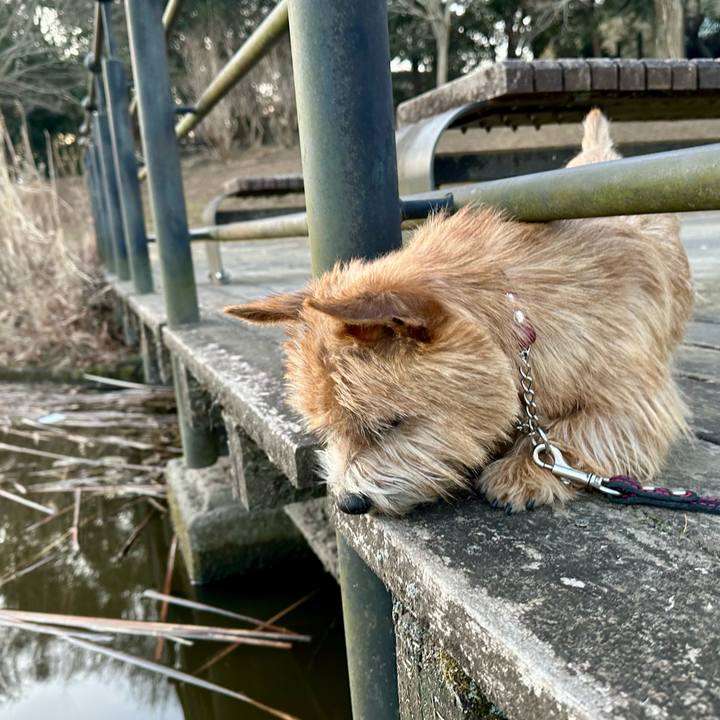 Ac02dae8 e1a0 41f9 8948 e838383c7e6a 1740605093448