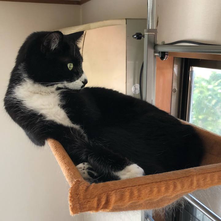 Ac030683 32b3 472e be9f d66fe7440161 1587440067503