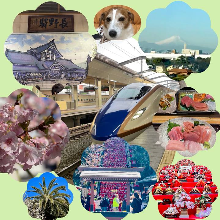 Ac0348ad b253 4e62 acd2 c5d929639f89 1740578070271