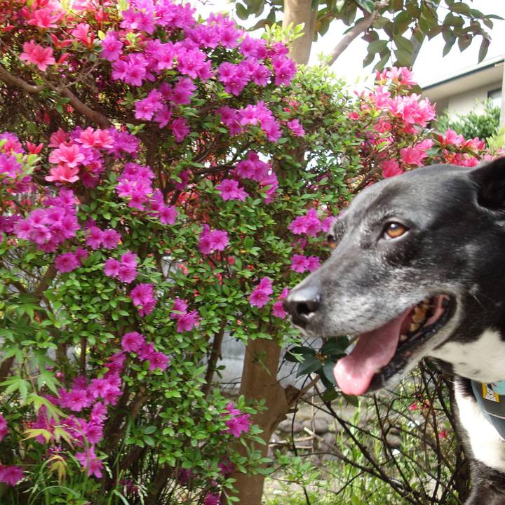 Ac034b80 2c8a 45dd 8b67 49451e7fe4b9 1744936230119