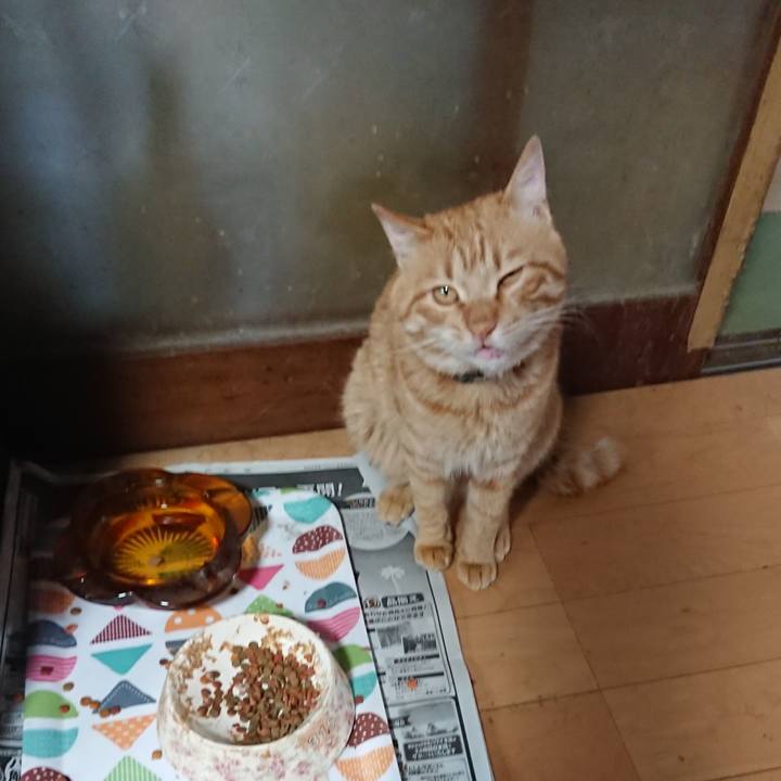 Ac034e68 3e8a 4d99 9ffb 9099c2af190a 1651829143255