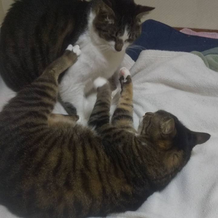 Ac035bec 6ab0 4005 84af 99c861ab1840 1733059886102