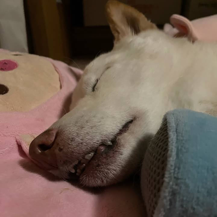 Ac03c327 fe98 400f 8c10 295a33733458 1634775947022