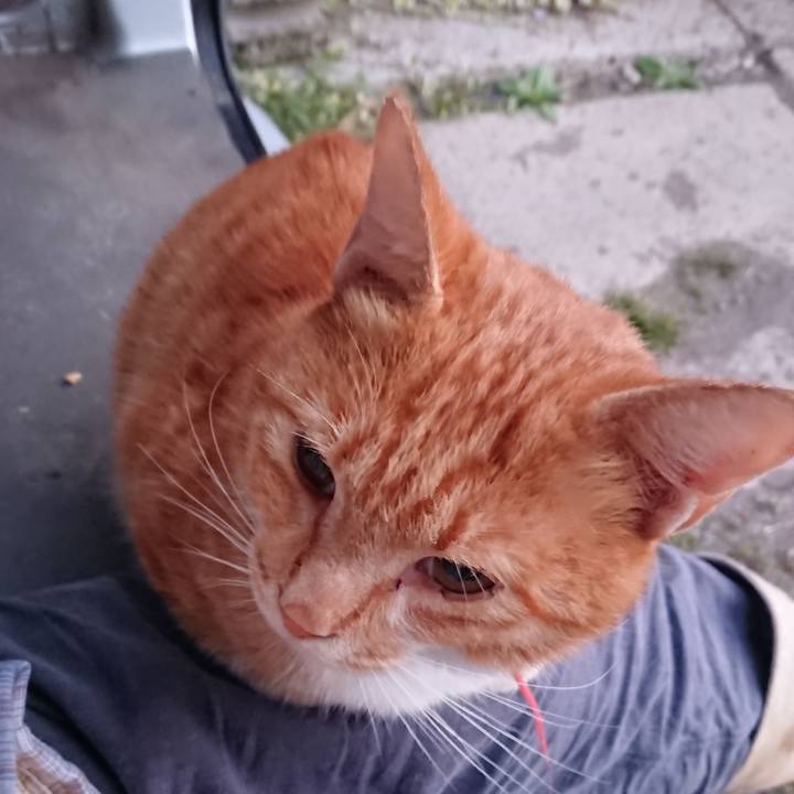 Ac03d734 4f1a 49d5 85c6 603347fe9fea 1569531646851