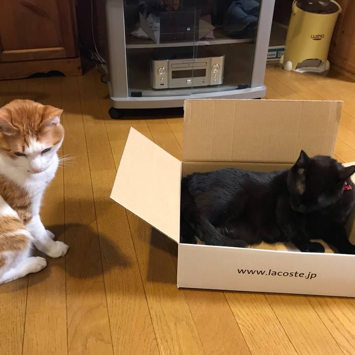 Ac040646 f907 4c98 9905 f48fab8e5776 1588773205396