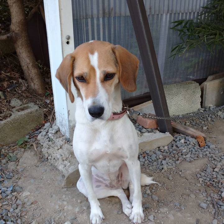 Ac043076 4464 4492 9c01 75053e6c4618 1602035525226