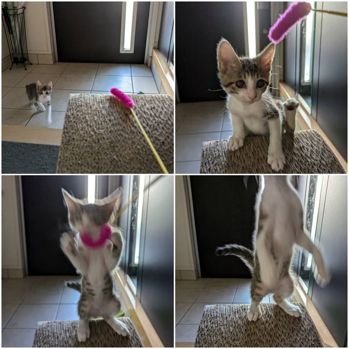 Ac044606 9a80 4ea3 acf3 36e4992aacdd 1729057592463