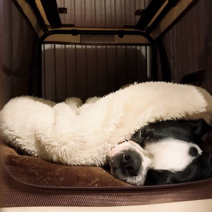 Ac047fe0 93be 4cc4 9fa7 a85bc992531a 1516665516075