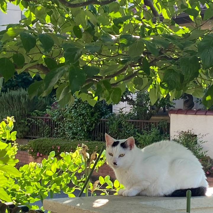 Ac049625 bb80 4f3a af81 3710072d2d0d 1621864513749