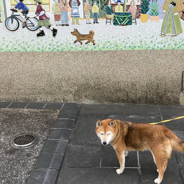 Ac04a9c7 f636 4f4b 9b99 de9dcb63c321 1643181197078