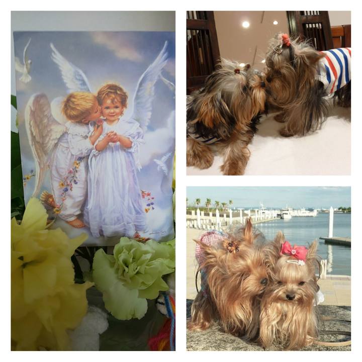 Ac04b1d1 8d19 40c0 8831 415ef89c8d06 1558084597589