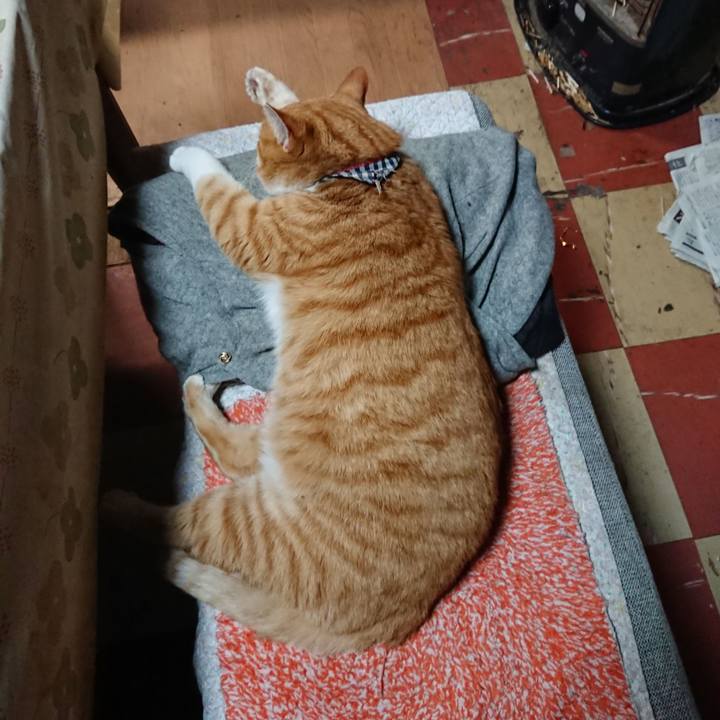 Ac04f3f9 71f1 4563 96b6 19624d2c6c5b 1575710179887