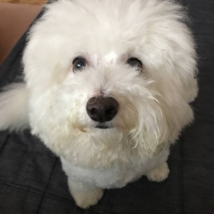 Ac04fa09 6802 4b22 bcef 25dedf647d23 1530658480037