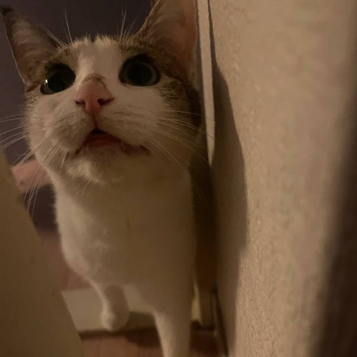 Ac051634 ac16 4501 90b9 de7801b999ec 1631177090674