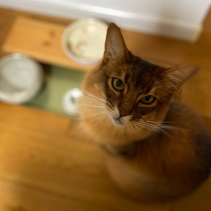 Ac053865 ab73 4faa 93a2 b421544a471d 1680870153925