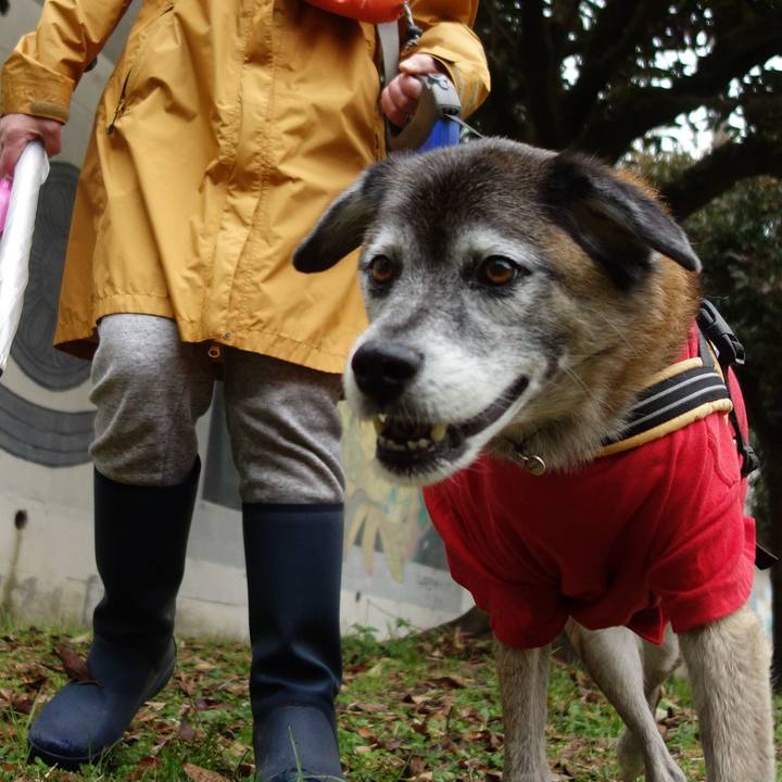 Ac053b06 a7cd 4ad3 9753 28e65cc4f22a 1575244788645